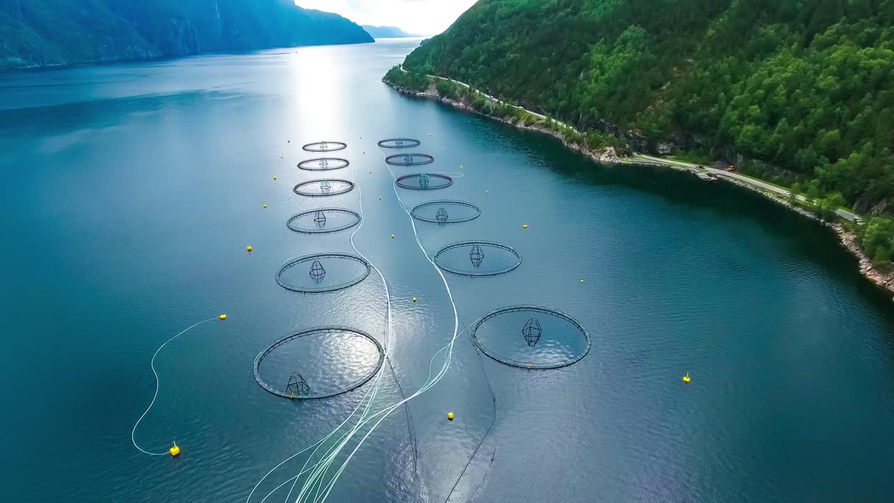 노르웨이에서 연어  ⁇ 시를 하는 공중 촬영