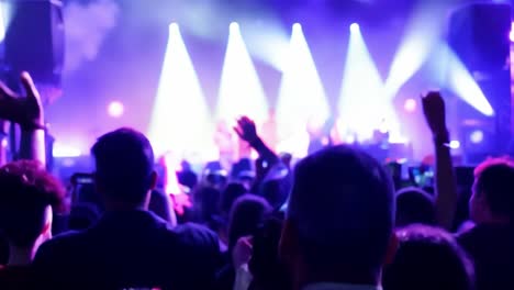 crowd at a concert enjoying the show