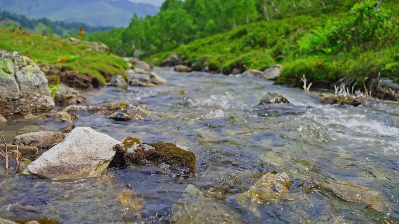 Aliran Sungai Pegunungan Jernih Mengalir di Atas Bebatuan dalam Lanskap Hijau