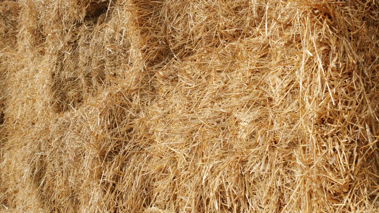 hayacks. pared al aire libre en un campo agrícola.