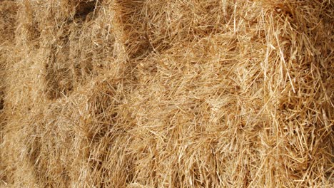 hayacks. pared al aire libre en un campo agrícola.