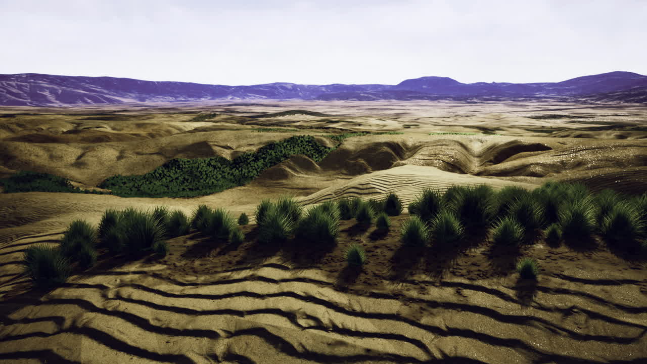 Expansive desert landscape features rolling dunes and vibrant greenery
