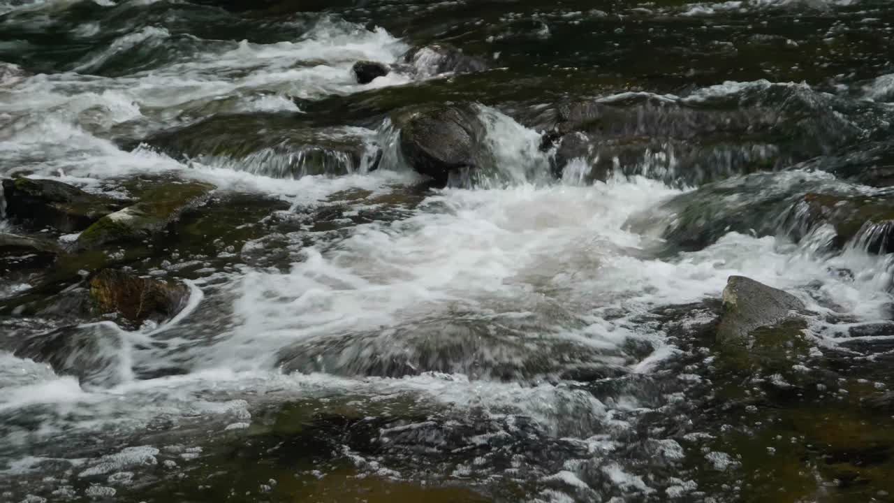 L'acqua scorre sulle pietre nel Wissahickon Creek.