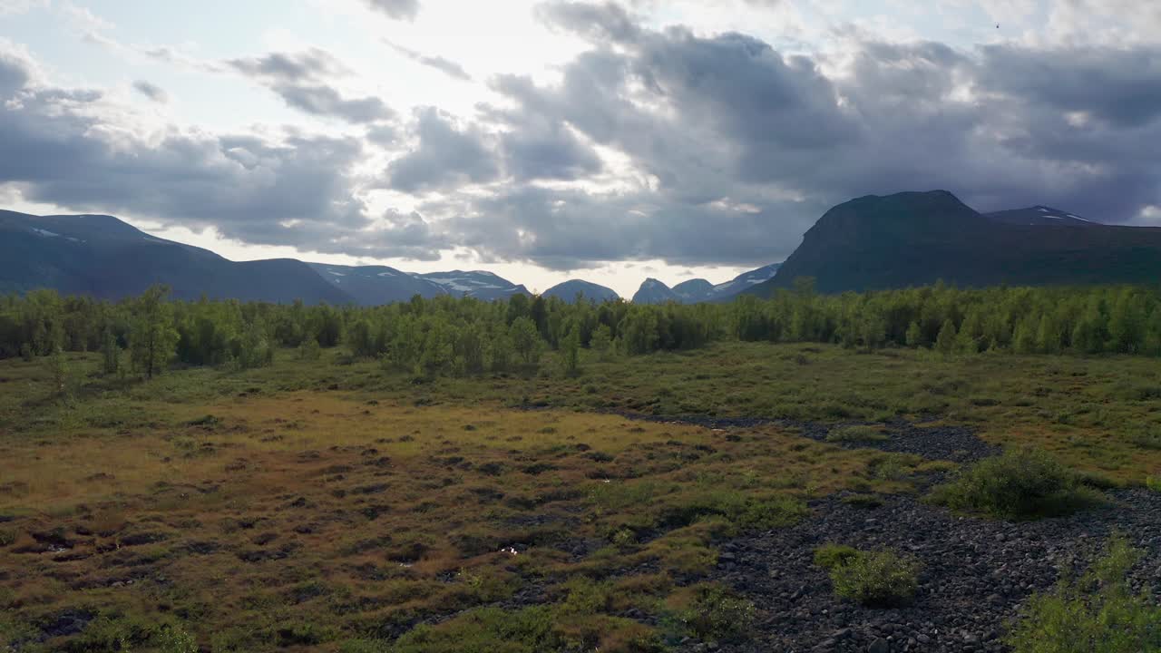스칸디나비아의 구름이 많은 하늘에서 여름에 스웨덴의 야생의 드론  ⁇