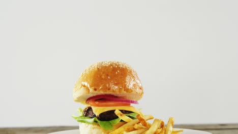 hamburguesa y papas fritas en un plato