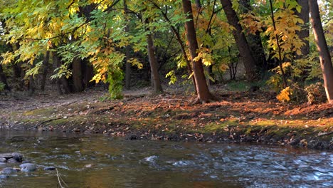 Colores-De-Otoño-A-Lo-Largo-Del-Arroyo-Boulder