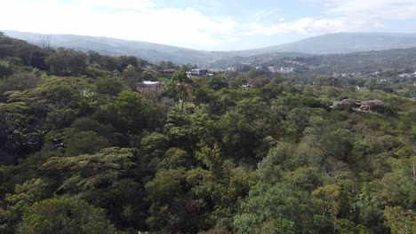 volando sobre una finca cafetalera con vistas al pequeño pueblo a lo lejos