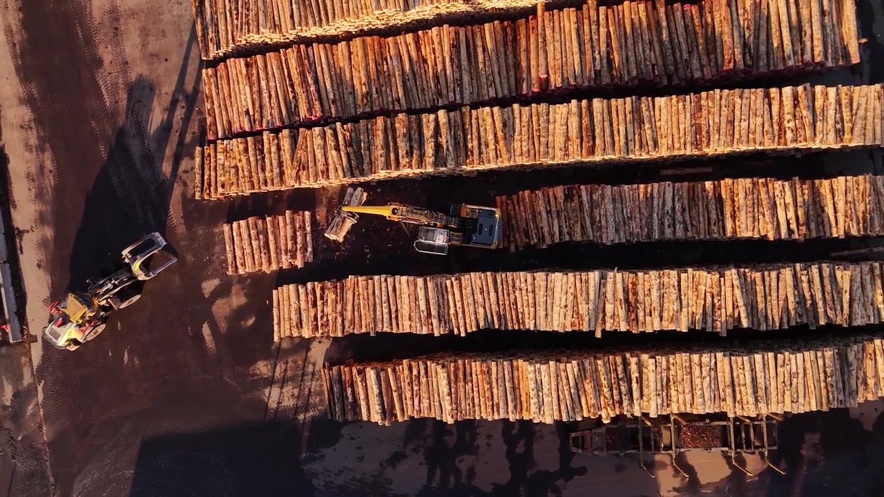 Top-down aerial view of timber stacks, machinery and log handling operations at a forestry port in Wellington, New Zealand.