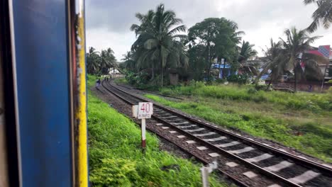 scenic railway journey through sri lanka's countryside, offering a passenger's perspective of the vibrant greenery and palm trees