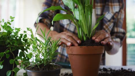 midsection of caucasian woman potting plants at home