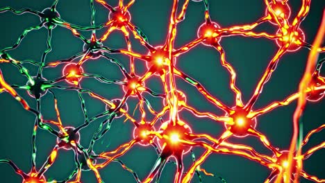 neurons and neural network visualization