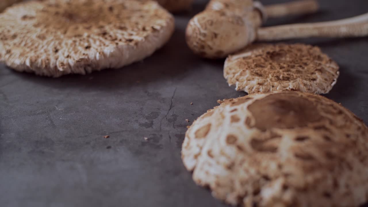 poner champiñones frescos en la mesa, cerrar