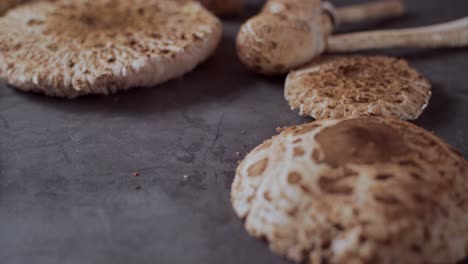 laying fresh mushrooms on the table, close up