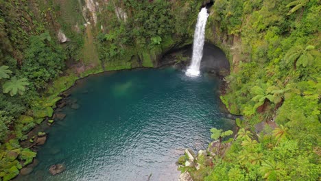 omanawa falls flowing down the pristine pool from tropical mountains in tauranga, north island, new zealand