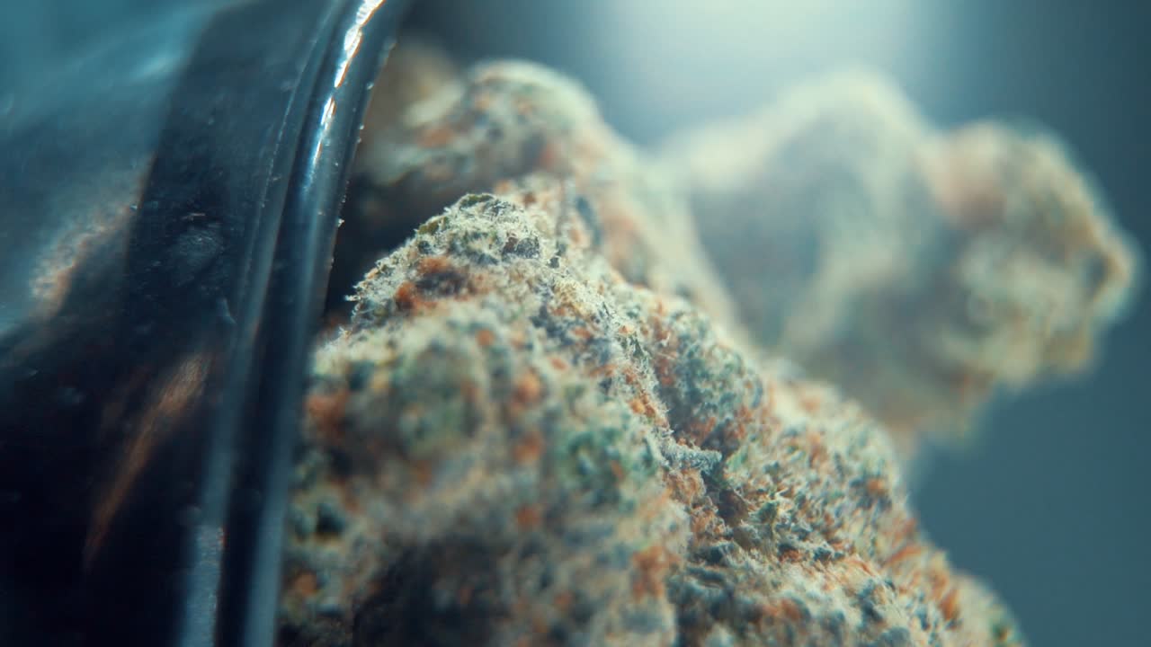 A vertical macro cinematic detailed shot of a cannabis plant, hybrid orange strains, sativa ,marijuana flower, on a rotating stand, Full HD, super slow motion, 120 fps, studio lighting