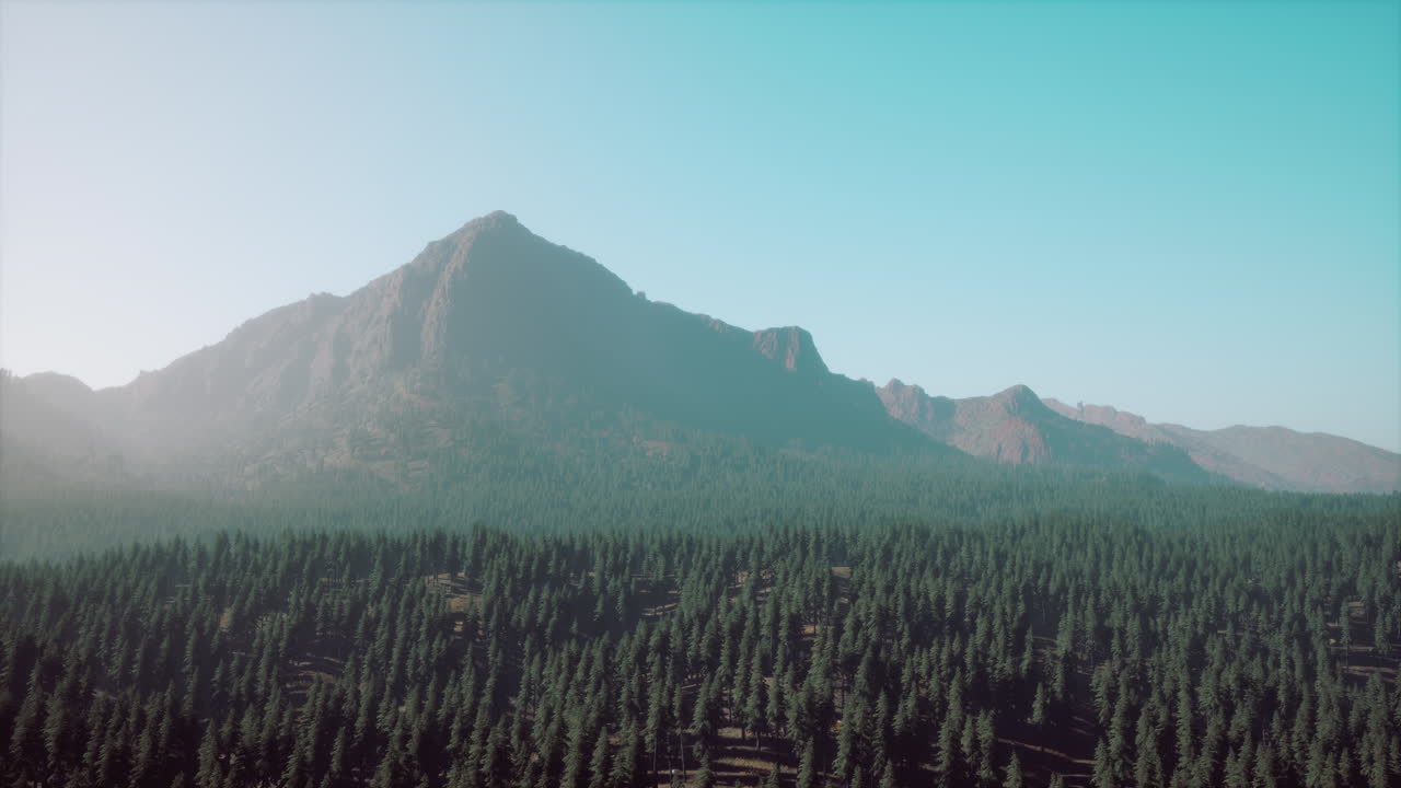 hermosa vista del atardecer en el bosque de cedros frente a la cordillera de sayan