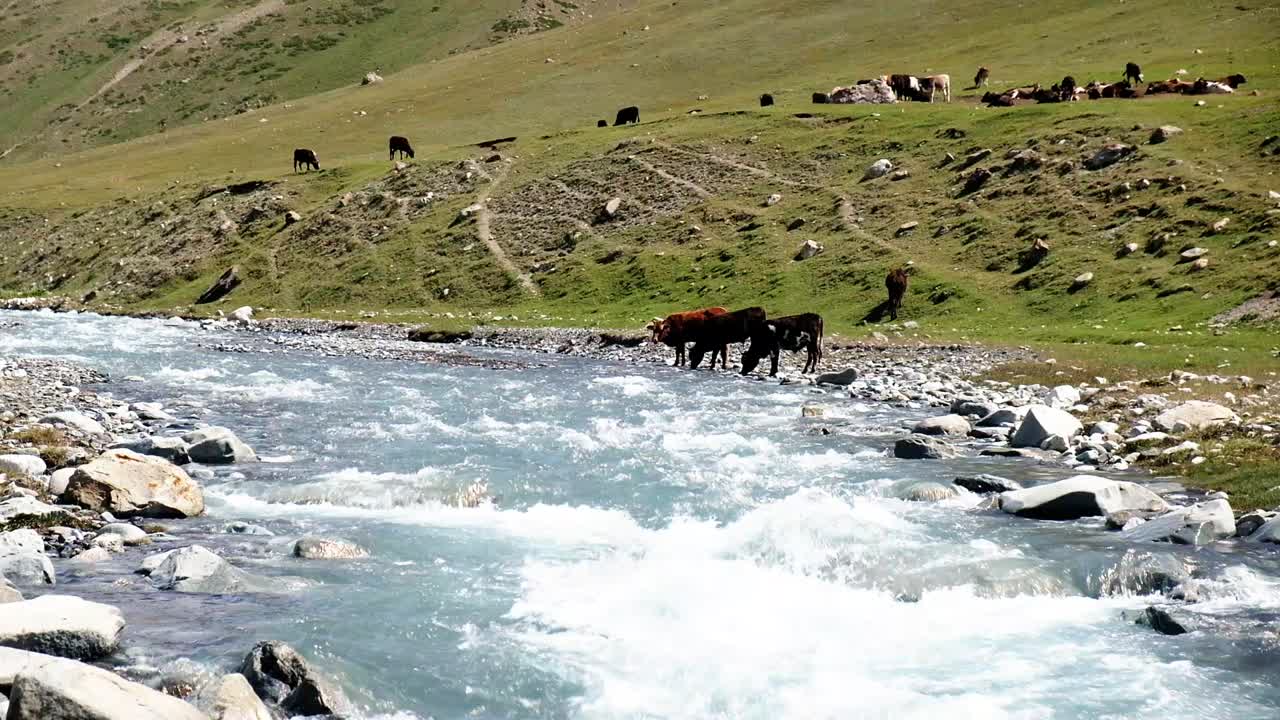 Fiumi che scorrono nella valle del Kirghizistan