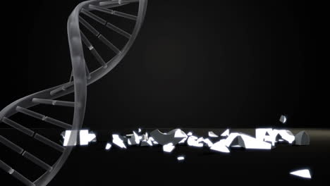 dna structure spinning over dollar currency symbol falling and breaking against black background