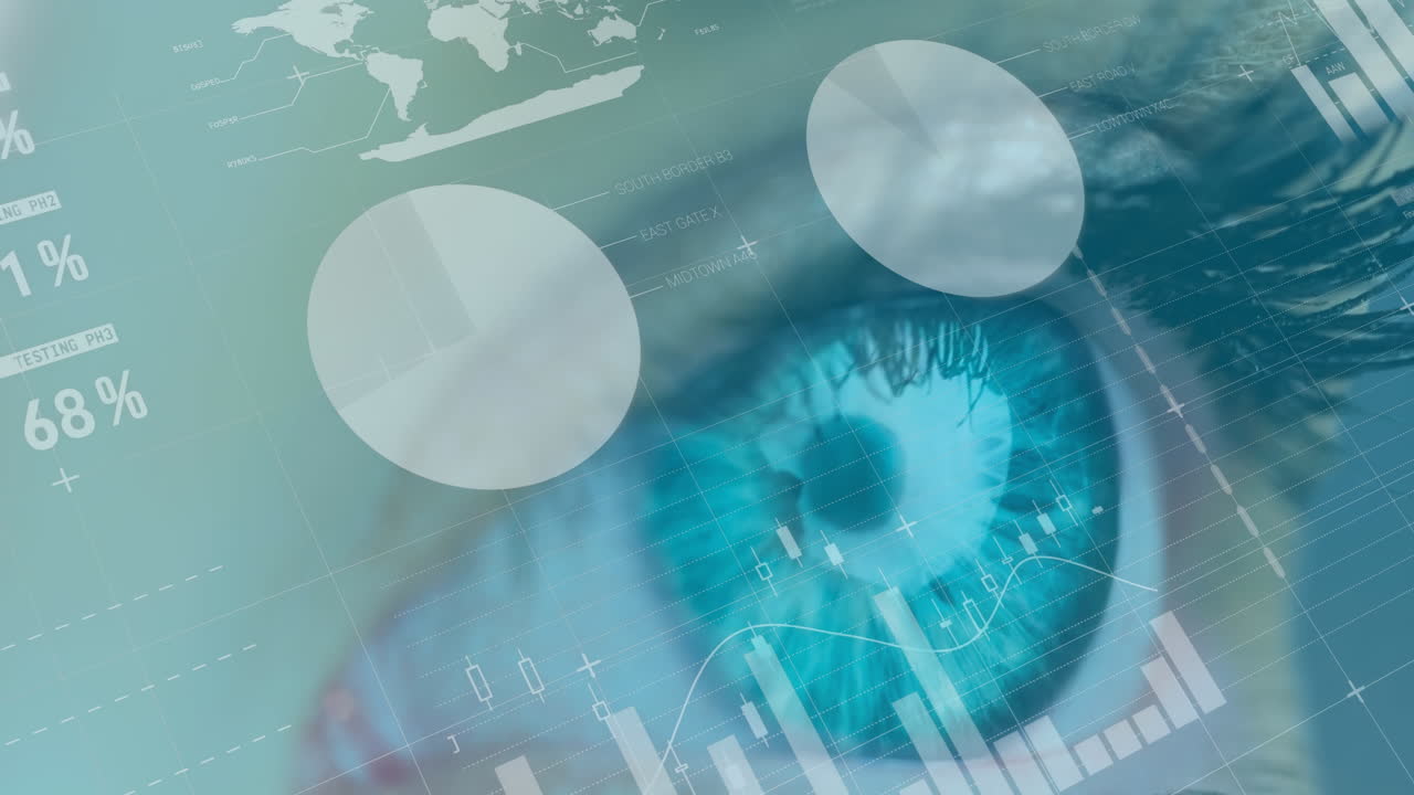 여성의 눈 위의 통계로 금융 데이터 처리의 애니메이션