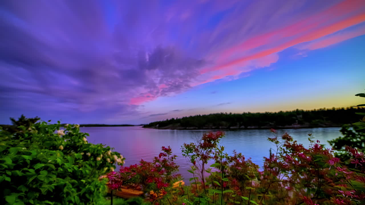흥미진진한 슬라이딩 은 덤불과 꽃 뒤에 있는 호수와 함께 다채로운 자연을 드러니다.