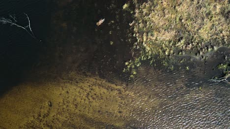 Rastro-A-Vista-De-Pájaro-De-La-Costa-Poco-Profunda-De-La-Isla-Arenosa