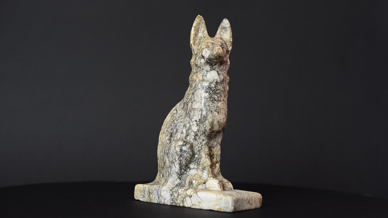 Bir çoban köpeği figürünün çekimi. Bir figürün çekimi.