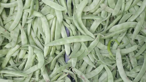 fresh green beans