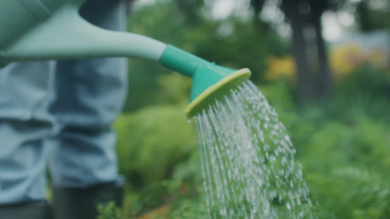 A person watering plants in a garden with a watering can