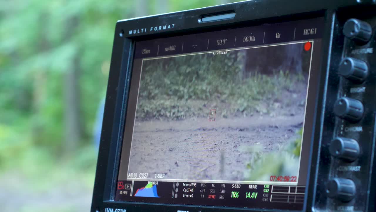 persona caminando en el bosque - vista de la cámara