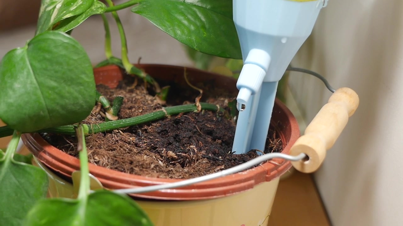 Sistema di Irrigazione a Goccia Automatico che Annaffia una Pianta d'Appartamento in Vaso