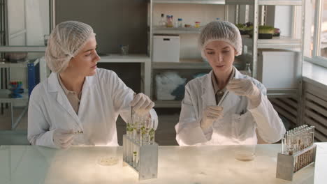 scientists working in a laboratory on plants