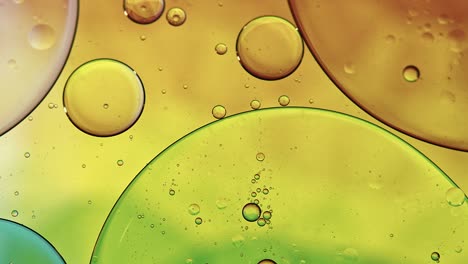 abstract colorido alimentos gotas de aceite burbujas y esferas que fluyen