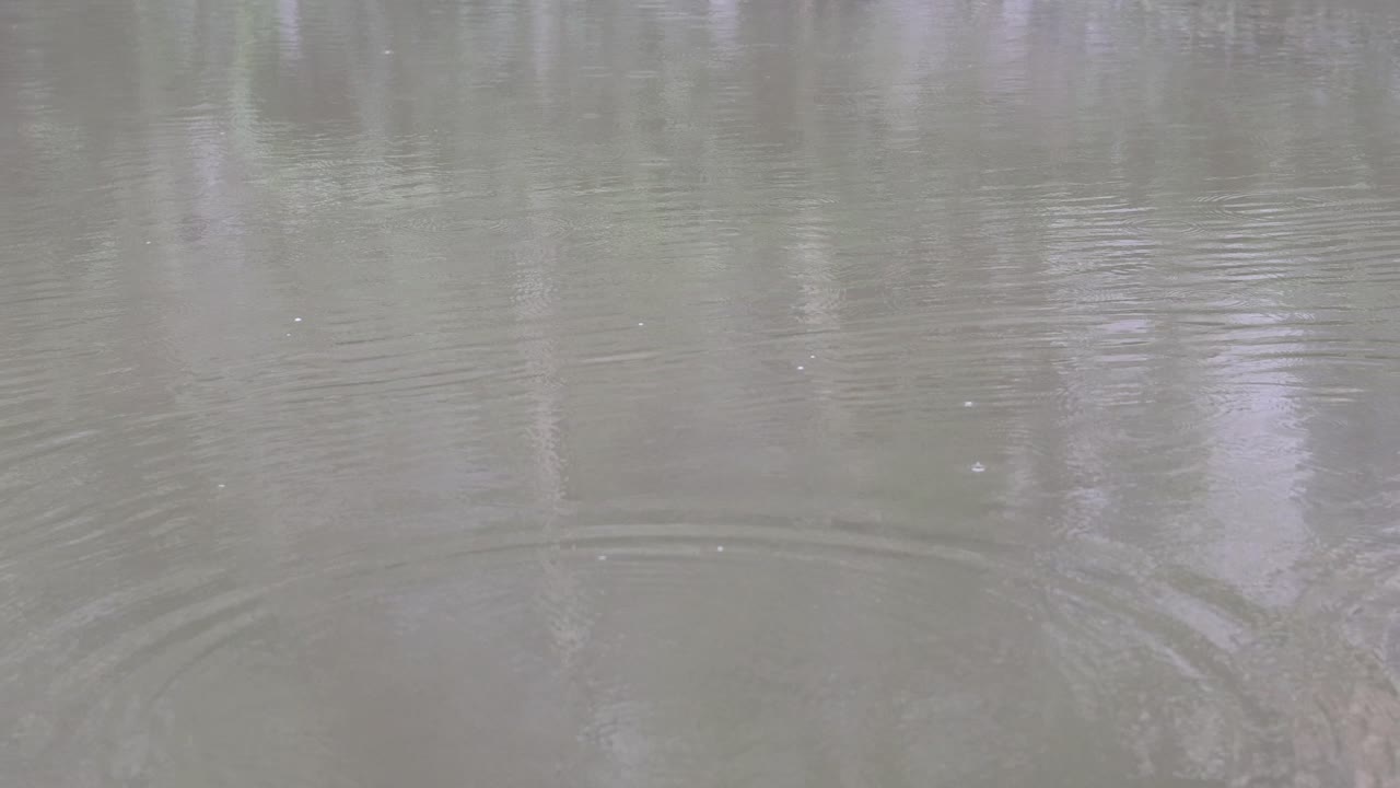 Object impacts water, creating expanding ripple effect.