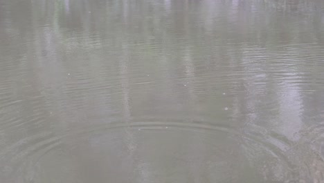 el objeto impacta con el agua, creando un efecto de onda en expansión.