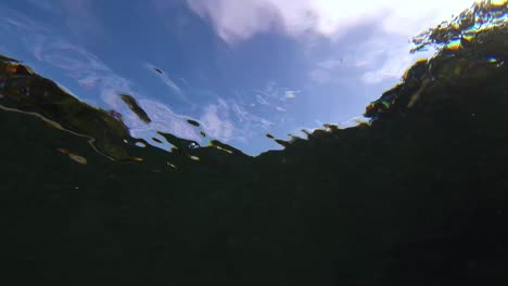 underwater sky view in san marcos river
