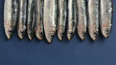 fresh anchovies