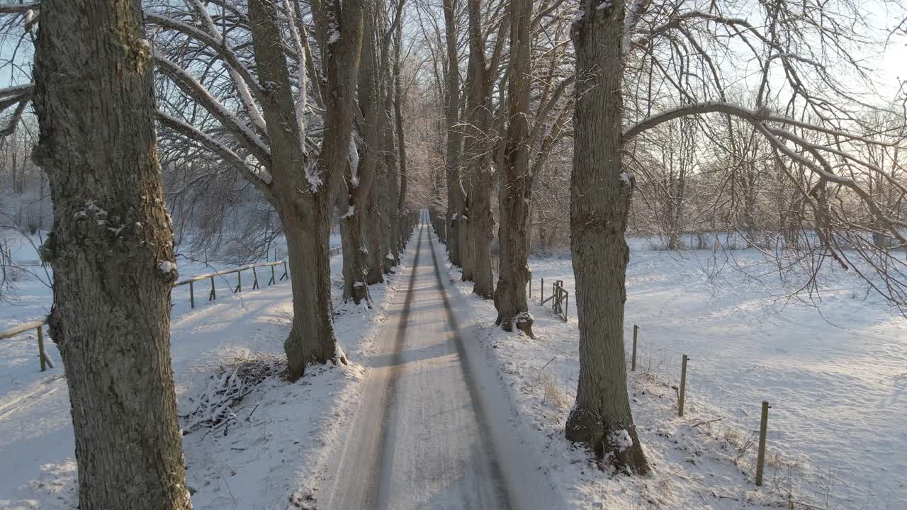 스웨덴-2 남쪽의 카를스크로나(karlskrona)에 있는 아름다운 눈 덮인 풍경에 있는 많은 오래된 오크나무 사이로 그림 같은 도로 위를 날고 있습니다.