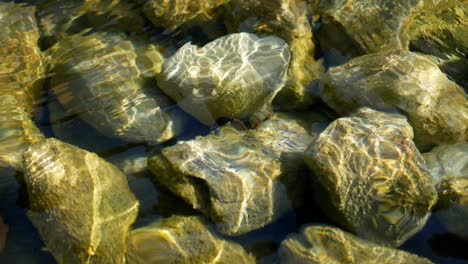 closeup of smooth stones in clear water