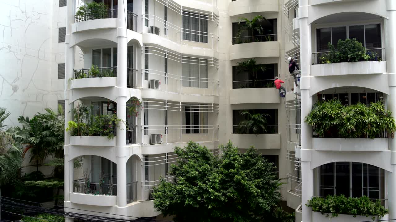 Painters house painters paint the house