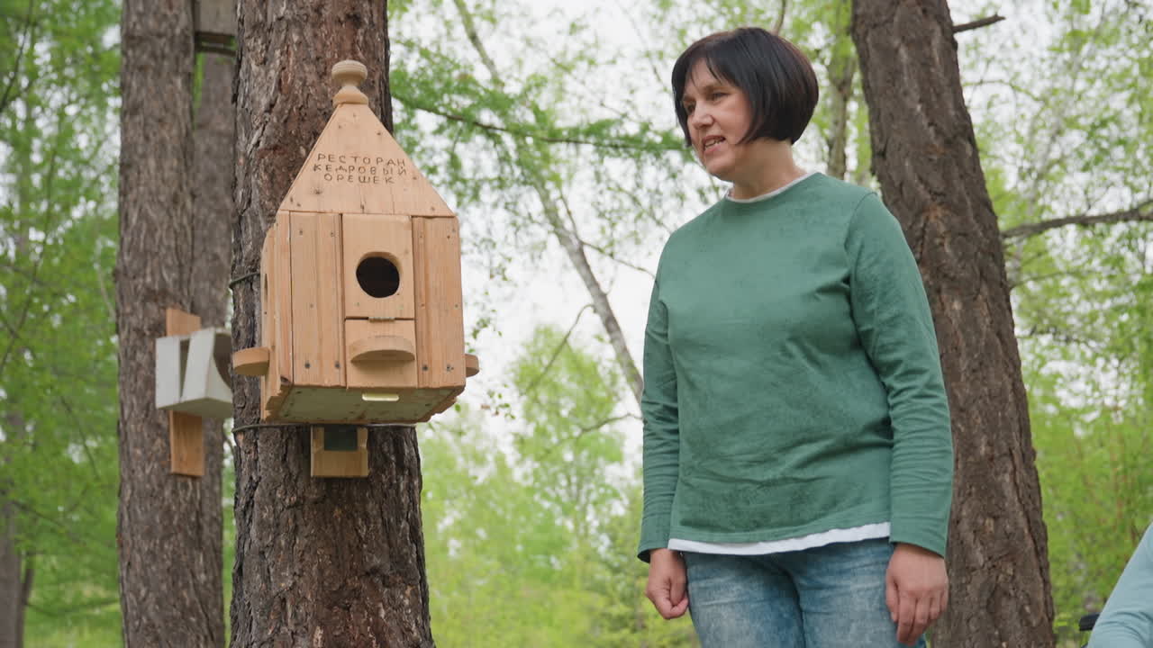 Asian Woman Inspects Wooden Bird Box On Tree In Leafy Spring Forest, Wearing Green Sweater And Jeans, Smiling While Checking Entrance Hole, Performing Volunteer Habitat Inspection And Minor Repair