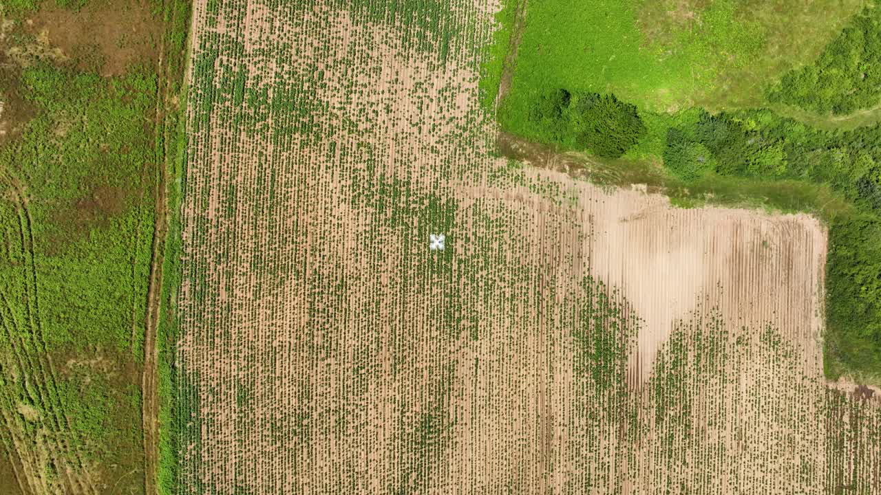 Agricultural field with drone equipped with multispectral sensors for crop monitoring, aerial view