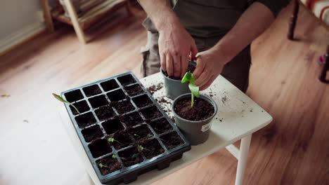 man making hole on soil in the pot for seedling