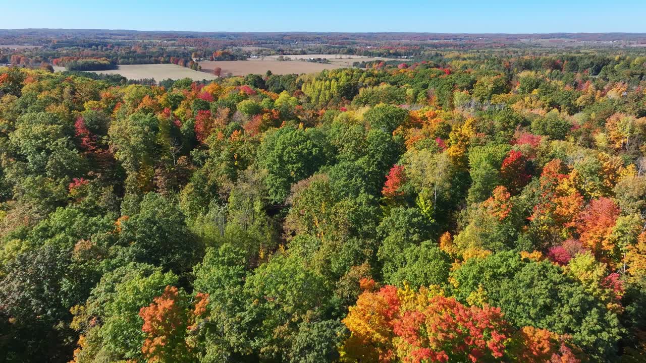 Beautiful Michigan fall colors captured from an aerial view moving fast forward panning slowly to the right.