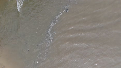 Dron-Giratorio-De-Baja-Altitud-De-Arriba-Hacia-Abajo-De-Un-Océano-Contaminado-Lleno-De-Basura-Flotante-Y-Escurrimiento-De-Río-Fangoso-Mezclándose-Con-Agua-Tropical-Turquesa-De-Bali,-Indonesia