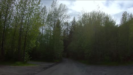 Looking-out-the-back-of-the-car-while-driving-by-trees-and-Spruce-Creek-at-Resurrection-Bay-on-Lowell-Point