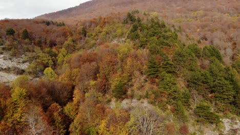 Ladera-Panorámica-De-La-Montaña-Cubierta-De-árboles-Verdes-Y-Marrones-Amarillos-En-Otoño