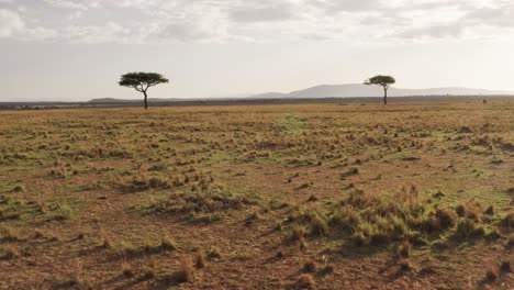 Masai-Mara-Aerial-drone-shot-of-Africa-Landscape-Nature-Scenery-of-Kenya-Savannah,-Acacia-Trees,-Vast-Plains-and-Wide-Open-Grassland,-View-From-Above-Maasai-Mara,-Low-African-Establishing-Shot