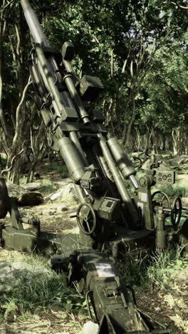 exploring the rusted artillery piece hidden in a dense forest landscape