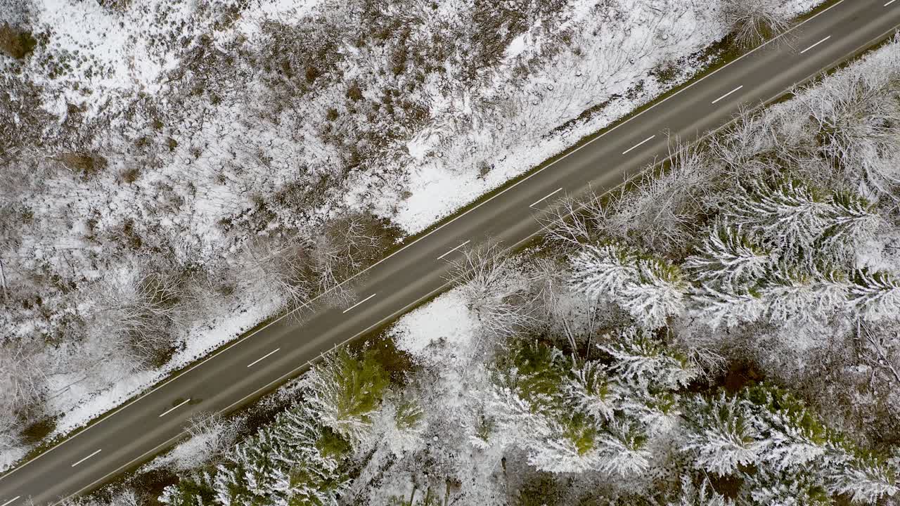 위에서 직접 운전하는 차가 있는 겨울 숲에서 대각선 방향의 겨울 도로