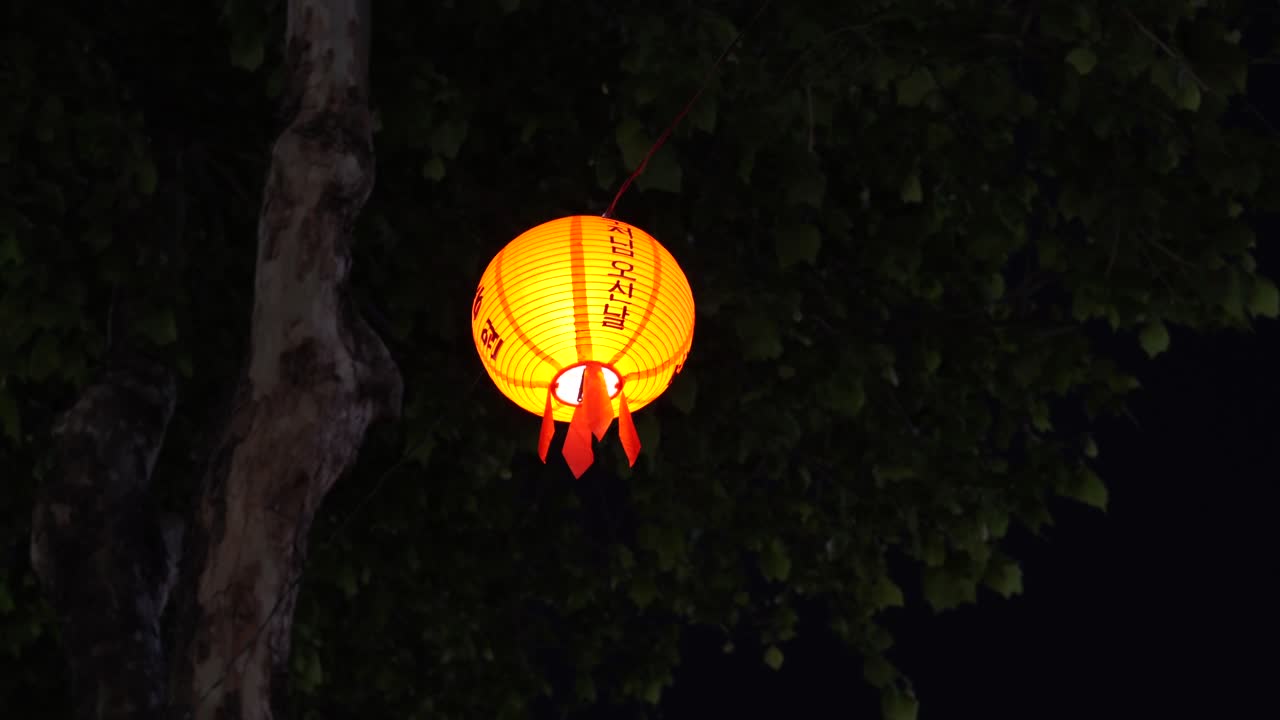 hermoso farol colgado en el árbol por la noche en corea del sur durante la celebración del cumpleaños de buda - disparo en ángulo bajo